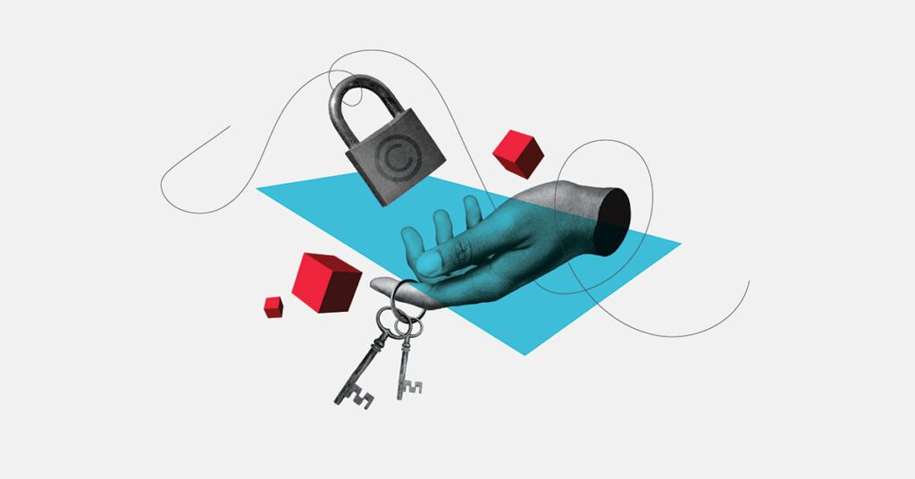 Protecting a Balanced Approach to Copyright and Preserving Choice